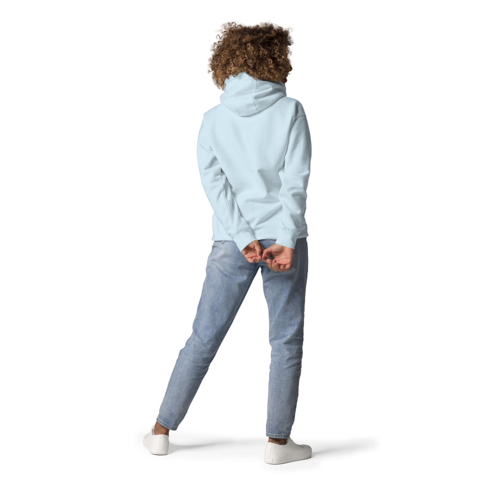cotton-heritage-m2580-i-unisex-premium-pullover-hoodie-sky-blue-back-6984a57b7b66a.jpg