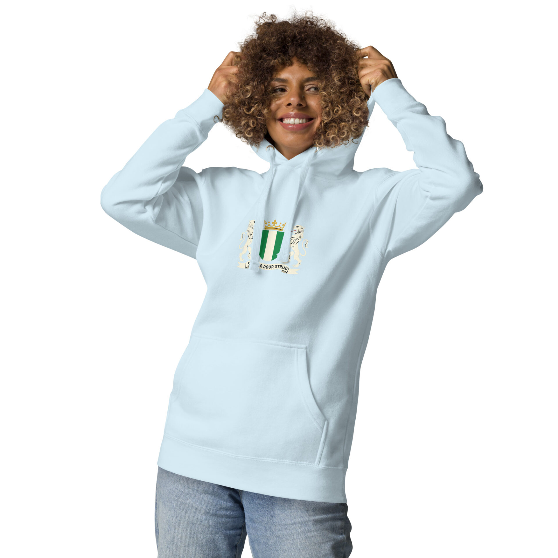 cotton-heritage-m2580-i-unisex-premium-pullover-hoodie-sky-blue-front-6984a57b77663.jpg